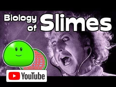 The Biology Of Slimes | Alien Analysis :: YouTube