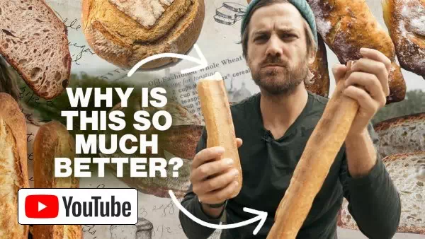 How The U.S. Ruined Bread :: YouTube
