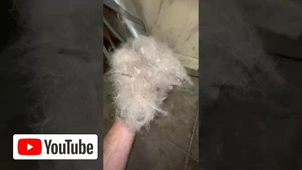 Satisfying Vent Clean (Dog fur) #oddlysatisfying #dryerventcleaning #laundry #firehazard #cleaning :: YouTube