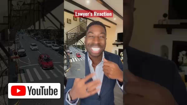 Is it unlawful to hit the brakes to avoid hitting an animal? Attorney Ugo Lord reacts! :: YouTube